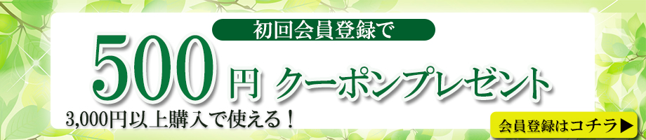 500円オフクーポン