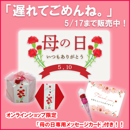母の日　おかき