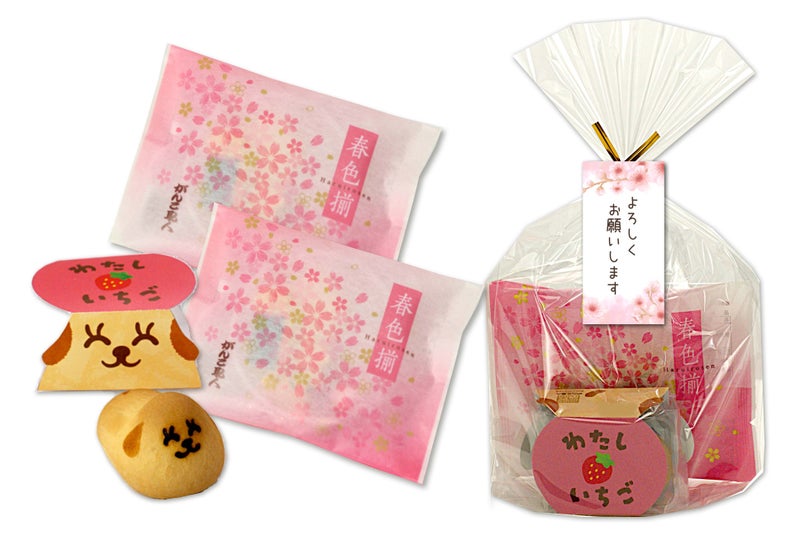 よろしくお願いします お菓子」（おかき 春色揃×2袋 + わたしいちご×1 